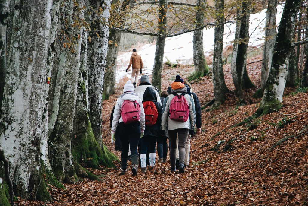 pexels-photo-3297281-3297281 Group enjoying a peaceful hike through autumn forest, showcasing outdoor exploration and tranquility.